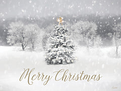 LD3829 - Snow on Christmas Day    - 16x12