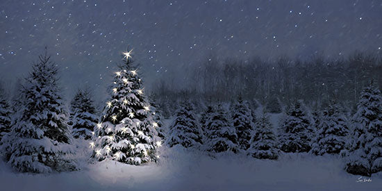 Lori Deiter LD3841 - LD3841 - All is Bright - 18x9 Christmas tree field, snow, blue night, starry sky, holiday lights, snowy forest, evergreen trees, serene night from Penny Lane