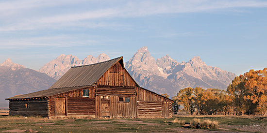 Lori Deiter LD3865 - LD3865 - A Piece of History - 18x9 rustic barn with mountain range, wooden farmhouse barn, wide open field, grand teton style peaks, blue sky, autumn trees, western landscape, americana countryside, rural architecture, travel destination, scenic panorama, photography style, neutral rustic decor from Penny Lane
