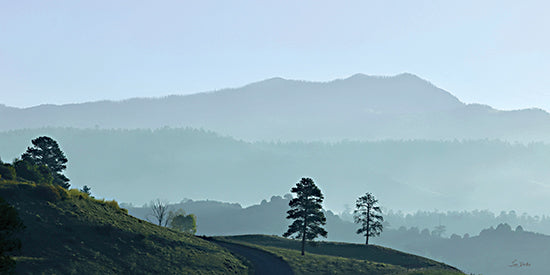Lori Deiter LD3870 - LD3870 - Mountain Mystery - 18x9 rolling hills landscape, winding country road, lone pine trees, morning haze, blue green mountains, soft light, pastoral scenery, open meadow, layered hills, tranquil countryside, atmospheric depth, scenic overlook, nature, outdoors, minimalist trees from Penny Lane