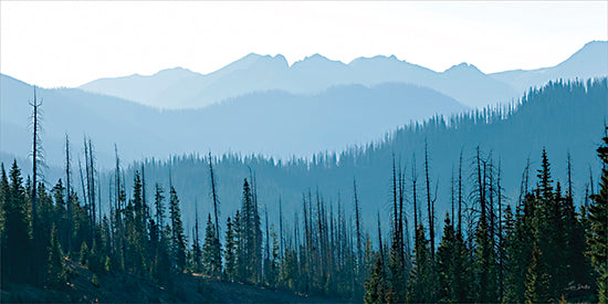 Lori Deiter LD3873 - LD3873 - Sky Pointers - 18x9 mountain forest landscape, evergreen trees, tall pines, misty blue ridges, atmospheric haze, wilderness, high country, layered mountains, soft morning light, cool blue palette, scenic vista, nature, outdoors, tranquil mood, panoramic composition from Penny Lane