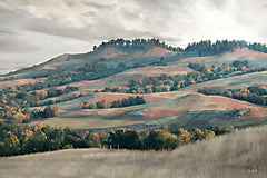 LD3874 - Rolling Hills and Golden Fields - 18x12