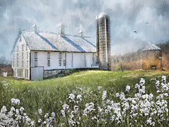 LD3884 - Old Country Barn - 16x12