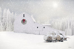 LD3891 - Quiet Beauty of Winter - 18x12