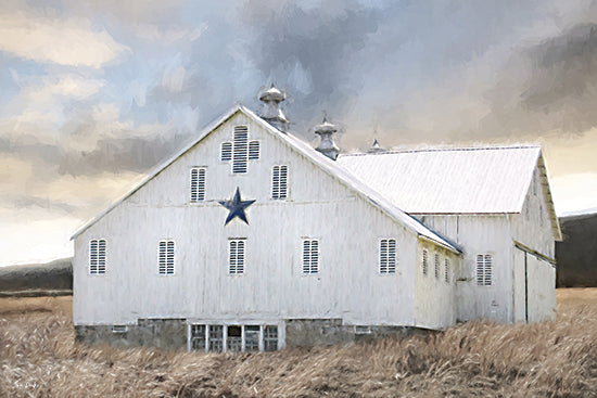 Lori Deiter LD3901 - LD3901 - Skyward Dreams - 18x12 white barn with blue star, Americana farm, rustic barn siding, country field, painterly texture, moody sky, farmland landscape, vintage rural architecture, patriotic accent, modern farmhouse decor, countryside, wheat or tall grass foreground, serene rural scene, outdoors from Penny Lane