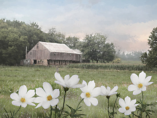 Lori Deiter LD3914 - LD3914 - Raised Country - 16x12 blue barn, open field, birds in sky, rustic farm building, minimal country landscape, weathered wood, soft blue palette, serene rural scene, modern farmhouse art, airy sky, peaceful countryside, painterly composition, harvest field from Penny Lane