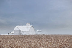 LD3923 - Silent Fields - 18x12