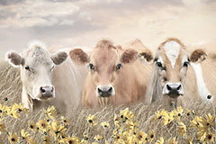 LD3926 - Trio of Cows - 18x12