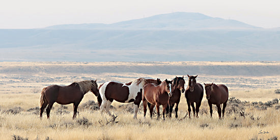 Lori Deiter LD3933 - LD3933 - The Wild Bunch - 18x9 herd of horses, wild horses, mustangs, group of horses, prairie, open range, western landscape, distant mountains, wide panorama, ranch, grassland, nature, wildlife, neutral colors, photography, peaceful, rustic from Penny Lane
