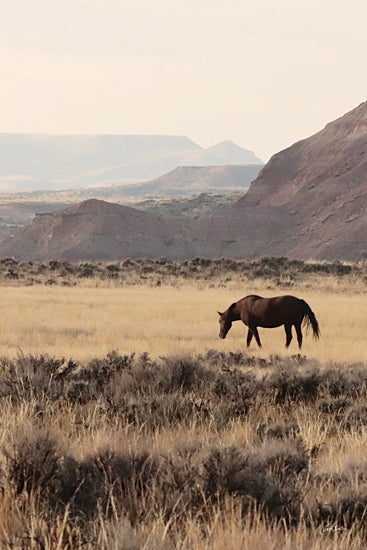 Lori Deiter LD3935 - LD3935 - Majesty of the Wild II - 12x18 lone horse in desert grassland, western landscape, mountains, mesa, sagebrush, open range, rustic, nature, photography, neutral palette, peaceful, minimalist composition from Penny Lane