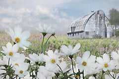 LD3940 - Stillness in Bloom - 18x12