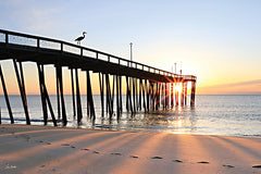 LD3990 - The Pier's Morning Visitor - 18x12