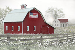 LD3998 - Patriotic Countryside - 18x12