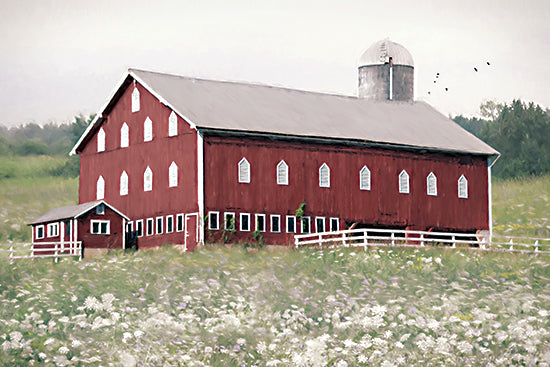 Lori Deiter LD4008 - LD4008 - The Barn That Time Forgot - 18x12 large red barn, gray metal roof, silo, white fence, birds, wildflower meadow, rural farm landscape, classic country barn, spring pasture, rustic homestead, pastoral architecture, soft green field, farmhouse wall art, painterly brush strokes, quiet countryside from Penny Lane