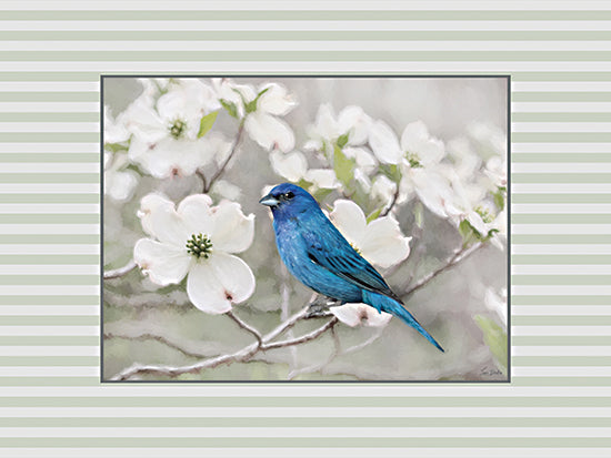 Lori Deiter LD4017 - LD4017 - Indigo Bunting in Spring - 16x12 indigo bunting, blue songbird, dogwood flowers, spring nature scene, wildlife painting, soft background, natural color harmony, bird photography style from Penny Lane