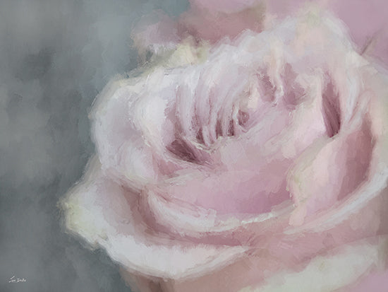 Lori Deiter LD4043 - LD4043 - Dreamy Rose - 16x12 pink rose, blush rose, single flower, close up floral, soft petals, romantic, feminine, pastel, shabby chic, painterly, brush strokes, dreamy, delicate, botanical, spring, Mother's Day, Valentine's Day, floral art, neutral background, moody soft from Penny Lane