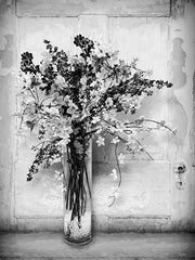LD4045 - Black and White Beauty - 12x16