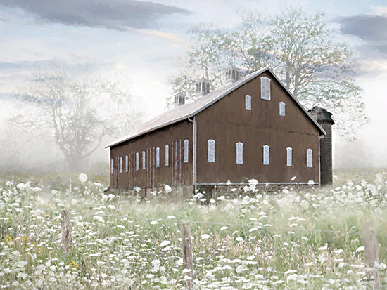 Lori Deiter LD4049 - LD4049 - Field of White - 16x12 landscape, botanical, country, rural, trees, floral, greenery, barn, field, fog, meadow, white flowers, spring, moody, photography, neutral from Penny Lane