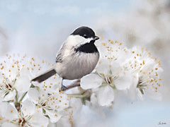 LD4194 - Chickadee's Perch I - 16x12