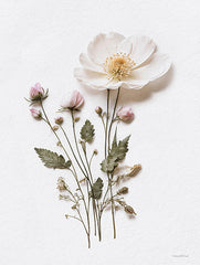 LET1196 - Pressed Flowers III - 12x16