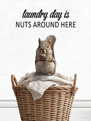 LET1307 - Laundry Day Squirrel - 12x16