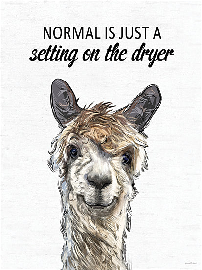 lettered & lined LET1316 - LET1316 - Normal Is Alpaca - 12x16 funny alpaca, quirky saying, laundry humor, illustrated animal, whimsical design, fluffy hair, playful quote, farmhouse bathroom decor from Penny Lane