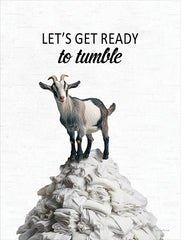 LET1326 - Let's Get Ready to Tumble Goad - 12x16