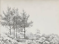 LET1354 - Simple Landscape    - 16x12