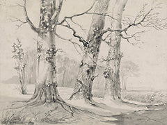 LET1356 - Trees in Winter I   - 16x12