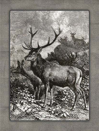 lettered & lined LET1361 - LET1361 - Always Aware - 12x16 vintage deer engraving, stag and doe, antlers, woodland wildlife, monochrome illustration, gray fabric border, antique natural history style, rustic lodge decor, masculine cabin art, detailed black and white animal print from Penny Lane