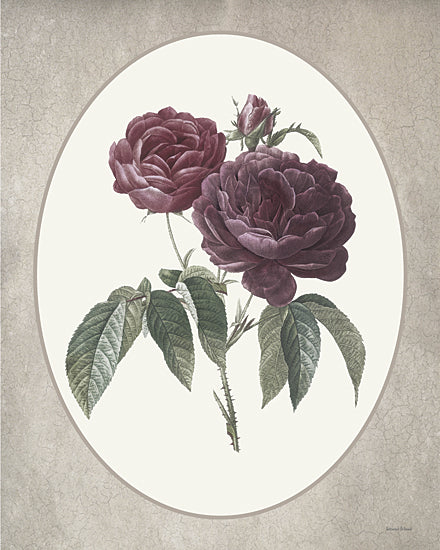 lettered & lined LET1369 - LET1369 - Floral Trio I - 12x16 purple rose botanical print, vintage style flower illustration, oval medallion composition, antique botanical wall art, textured neutral green background, detailed petals and leaves, romantic floral decor, elegant feminine artwork, classic garden rose study, soft vintage palette, lettered and lined from Penny Lane