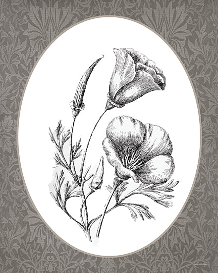 lettered & lined LET1379 - LET1379 - Vintage Botanical V - 12x16 poppy flower sketch, botanical illustration, vintage floral engraving, farmhouse decor from Penny Lane