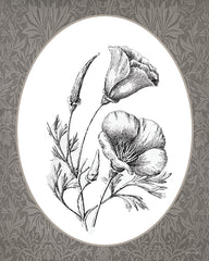 LET1379 - Vintage Botanical V - 12x16
