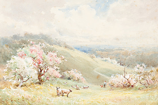 Lux + Me Prints LUX1149 - LUX1149 - Spring Day  - 18x12 pastoral landscape, sheep grazing, spring scene, hills, flowering trees, watercolor painting, serene countryside from Penny Lane