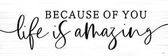 LUX819 - Life is Amazing   - 18x6