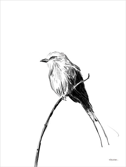 Molly Mattin MAT229 - MAT229 - Perched - 12x16 bird illustration, monochrome bird sketch, perched bird, nature drawing, minimal black and white art, wildlife sketch from Penny Lane