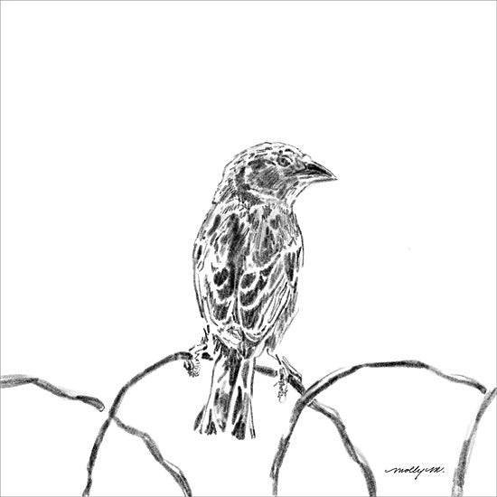 Molly Mattin MAT232 - MAT232 - Bird on Fence - 12x12 sparrow sketch, bird drawing, black and white art, perched bird illustration, minimal wildlife sketch, nature drawing from Penny Lane