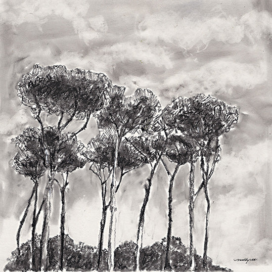 Molly Mattin MAT237 - MAT237 - Sky Trees - 12x16 black and white charcoal tall trees forest silhouette moody atmospheric landscape minimal nature art from Penny Lane