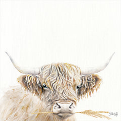 MAZ5891 - Wheat Sprig Highland - 12x12