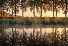 MPP1034 - Tree Line Sunrise - 18x12