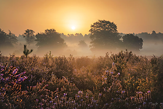 Martin Podt MPP1092 - MPP1092 - Summer Heather Sunrise - 18x12 sunrise over heathland, golden morning fog, purple heather field, glowing sun landscape, tranquil countryside dawn, misty nature panorama from Penny Lane