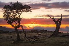 MPP1094 - Fanal on Fire (Portugal) - 18x12