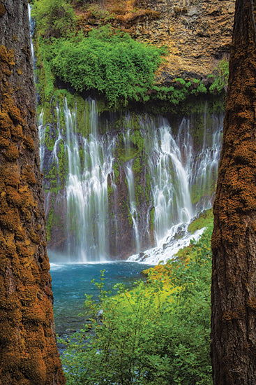 Martin Podt MPP1129 - MPP1129 - Burney Falls - 12x18 forest waterfall, mossy cliffs, cascading water, blue pool, framed by trees, lush greenery, hidden falls, tranquil nature, vertical waterfall scene, serene woodland, freshwater cascade, scenic outdoors, canyon waterfall, peaceful retreat, forest oasis, long exposure effect, travel nature art, natural beauty, misty spray, landscape photography from Penny Lane
