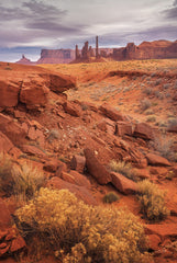 MPP1148 - Out West - 12x18