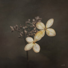 MPP1161 - Side by Side - 12x12