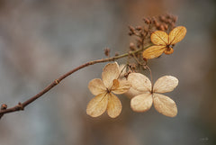 MPP1162 - Fade Away - 18x12