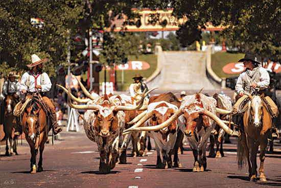 Martin Podt MPP1170 - MPP1170 - Longhorn Cattle March - 18x12 Texas longhorns, cattle drive, cowboys on horseback, western parade, ranch life, rodeo culture, livestock, street scene, Americana, country heritage, historic west, rural tradition, farm animals, cowboy art, long horns, equestrian western, ranch hands, festive procession, southern culture, western photography from Penny Lane