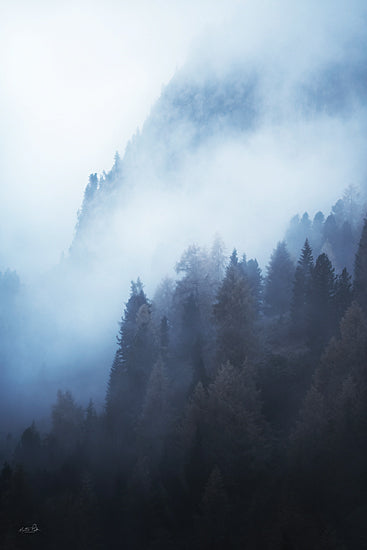 Martin Podt MPP1219 - MPP1219 - Set the Mood - 12x18 misty mountain forest, fog rolling through trees, atmospheric woodland, cool blue tones, moody alpine forest from Penny Lane