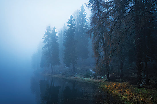 Martin Podt MPP1220 - MPP1220 - What the Fog - 18x12 foggy woodland creek, pine forest mist, small water stream, atmospheric forest scene, tranquil nature from Penny Lane