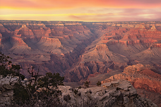 Martin Podt MPP1278 - MPP1278 - Amazing View - 18x12 grand canyon sunset panorama, layered canyon cliffs, dramatic colorful sky, vast geological formations from Penny Lane